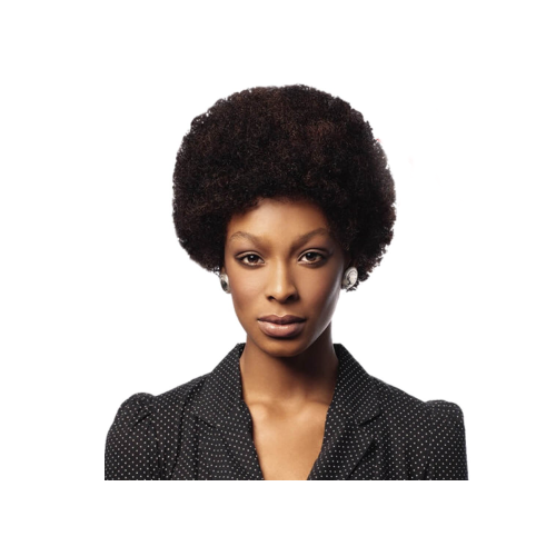 Afro Human Hair Wig